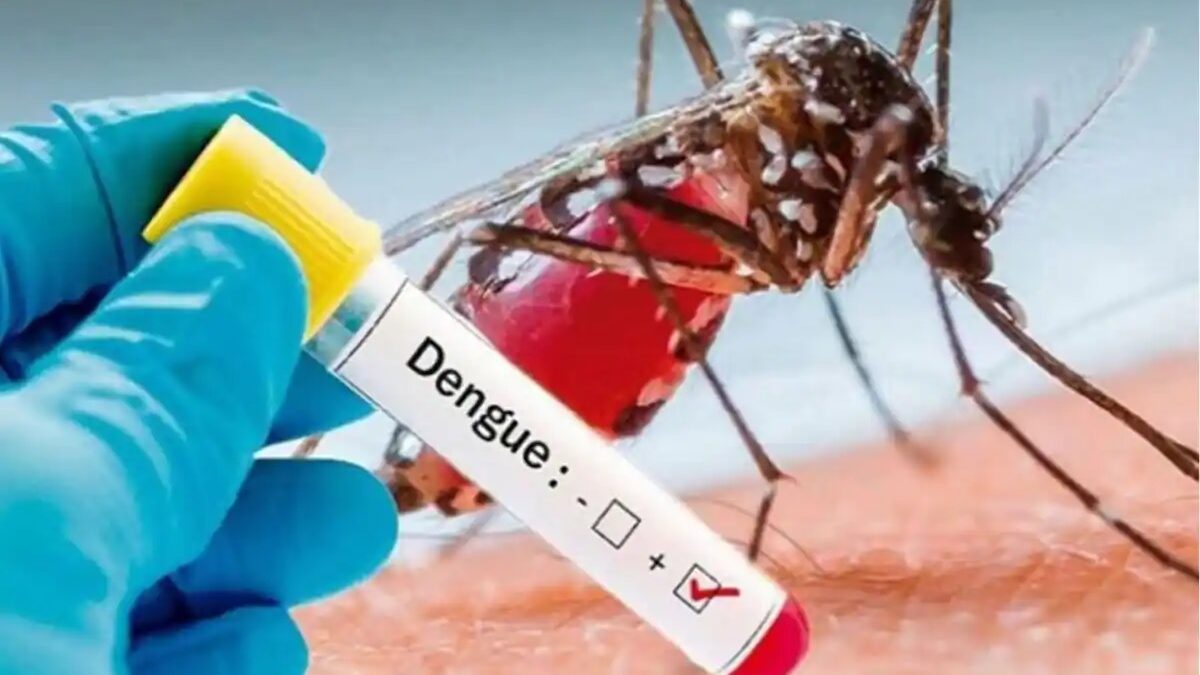 How Effective Is Getting Dengue Coverage for You?
