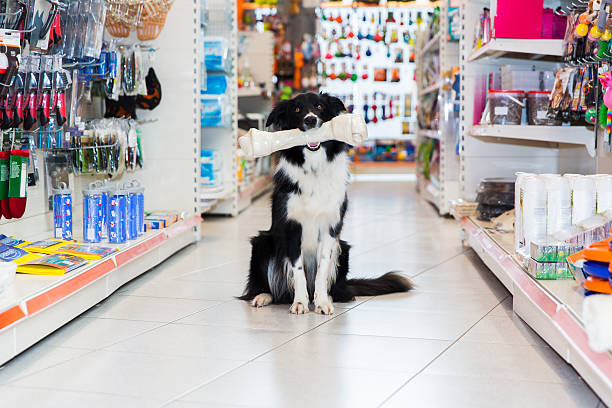 The Little-Known Benefits of Online Pet Stores